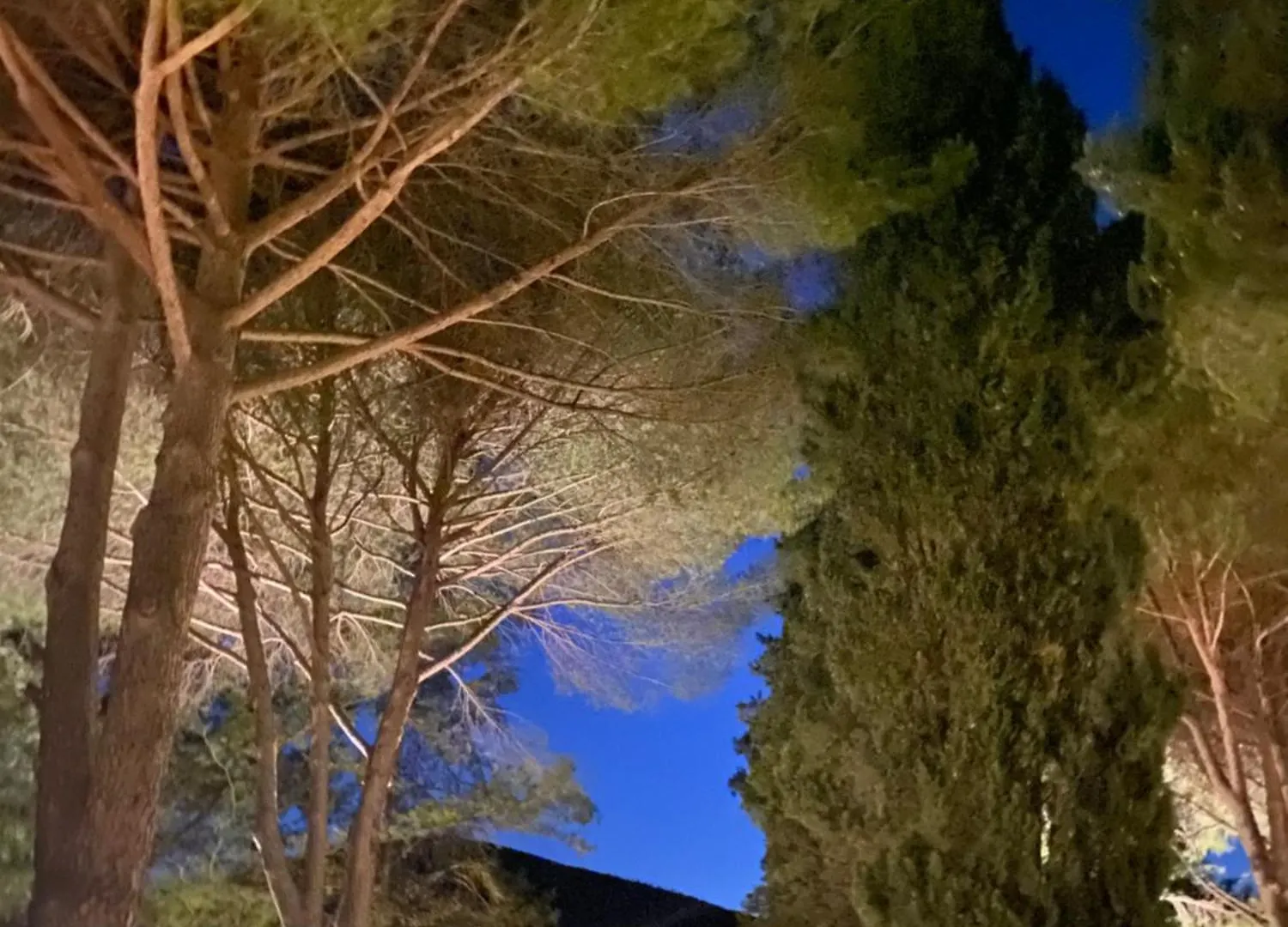 Country house Ghiaccio Bosco Guest House Capalbio Italy