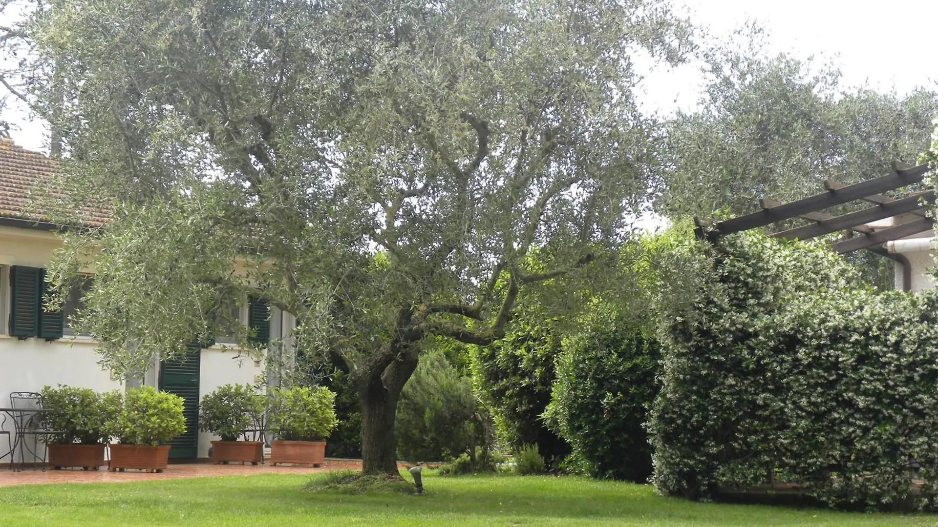 Ghiaccio Bosco Guest House Capalbio